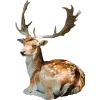 Emoji 072