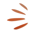 Эмодзи 057