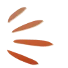Эмодзи 059