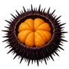 Emoji 018