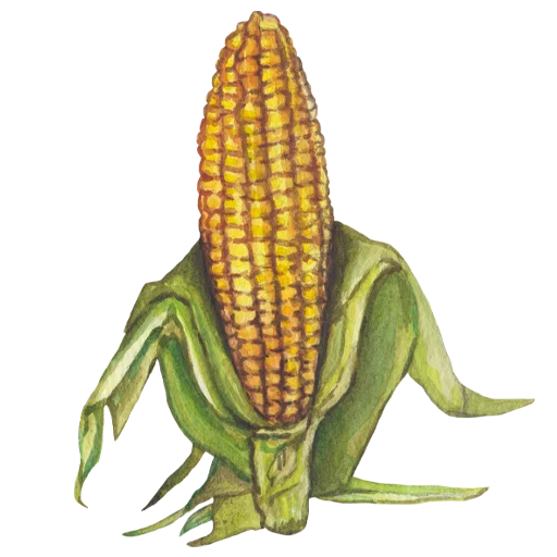 Стикер 008