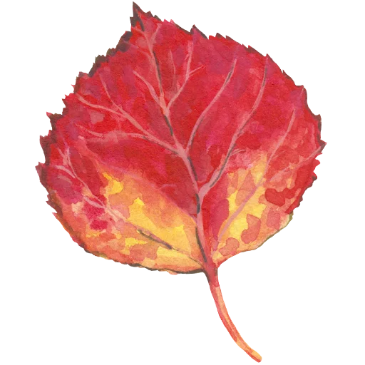 Sticker 014
