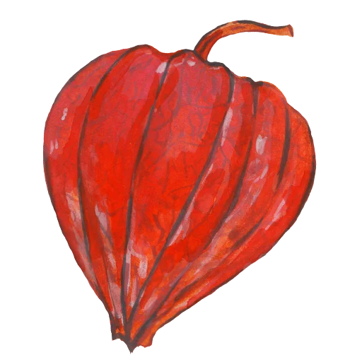 Sticker 027