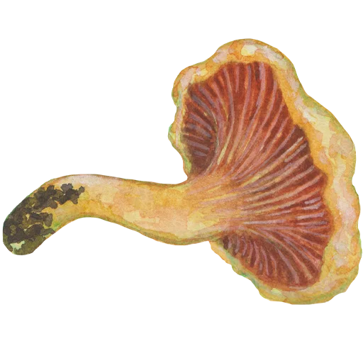 Sticker 035