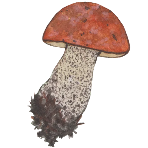 Sticker 038