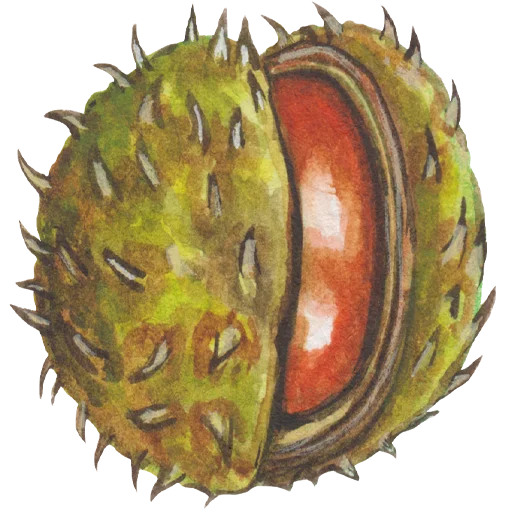 Sticker 041