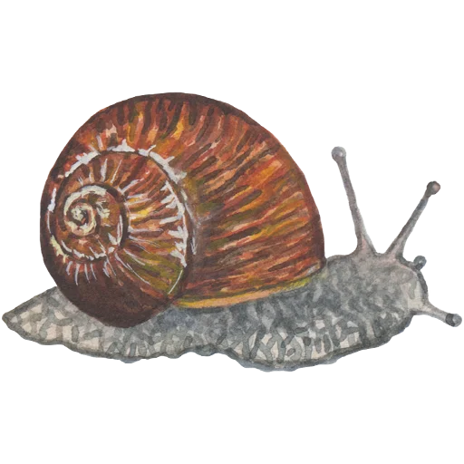 Sticker 049