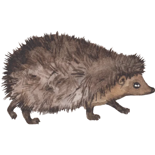 Sticker 050