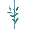 Emoji 078