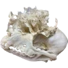 Emoji 002