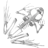 Emoji 003