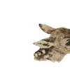 Эмодзи 012
