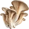 Emoji 015