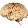 Emoji 016