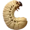 Emoji 021
