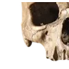 Emoji 025