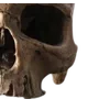 Emoji 026