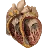 Emoji 038