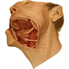 Emoji 048