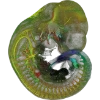 Emoji 074