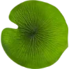Emoji 076