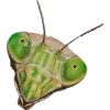 Emoji 077
