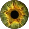 Emoji 061
