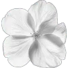 Эмодзи 106