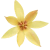 Эмодзи 118