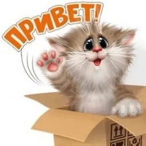 Sticker 061
