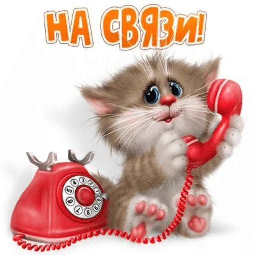 Sticker 062
