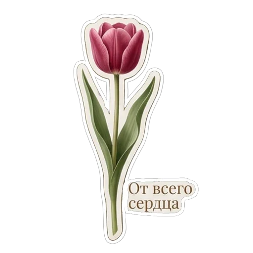 Sticker 024