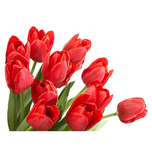 Sticker 008