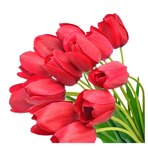 Sticker 009