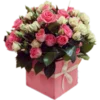 Emoji 024