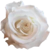 Эмодзи 059