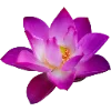 Emoji 005