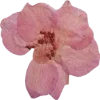 Emoji 004