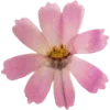 Emoji 006