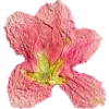 Emoji 008