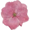 Emoji 009