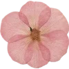 Emoji 012