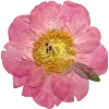 Эмодзи 014