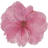 Emoji 016