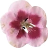 Emoji 018