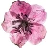 Emoji 020