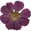 Эмодзи 021