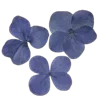 Emoji 027
