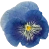 Emoji 028