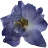 Emoji 029